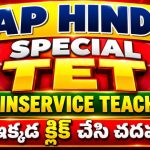 HINDI TEACHERS TET SPECIAL